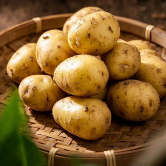 [당일수확]햇감자 강원도 산지직송 포슬포슬 수미감자, 1박스, 5kg