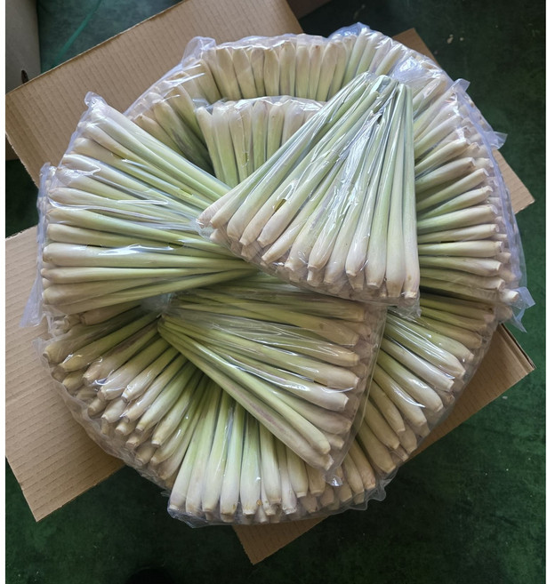 베트남 레몬그라스, 1kg, 1개