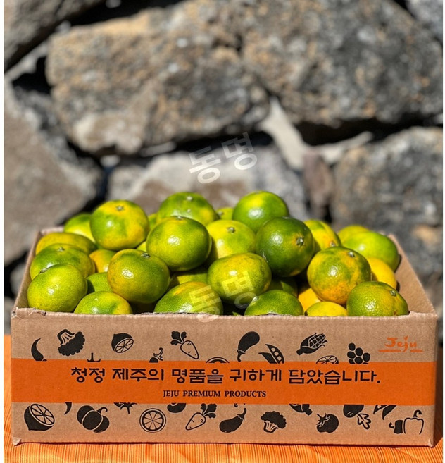 동명 프리미엄 제주 하우스 감귤 가정용, 1박스, 3kg, 카라향 중과