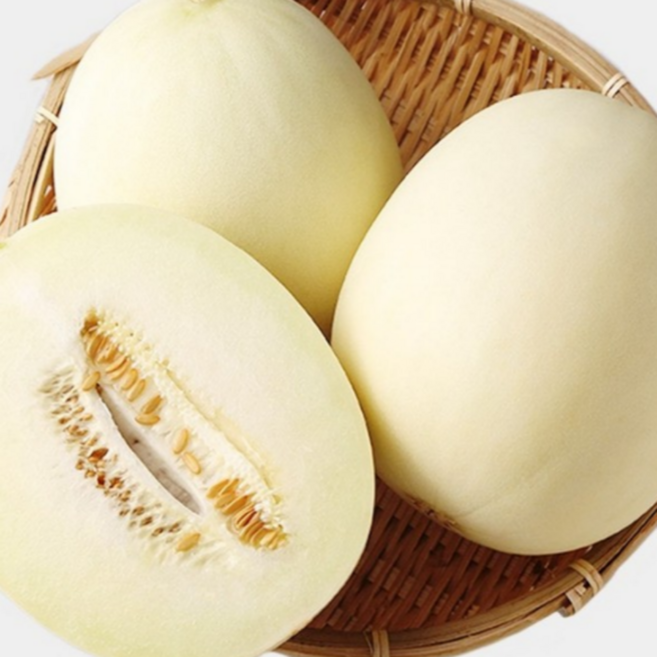 굿피플 고당도수신메론 멜론 천안메론 백자메론, 1박스, 수신메론 3kg