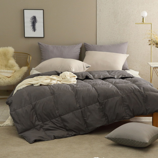 리치앤홈 한파용 솔리드 알러지케어 구스차렵 이불 솔리드, 챠콜
