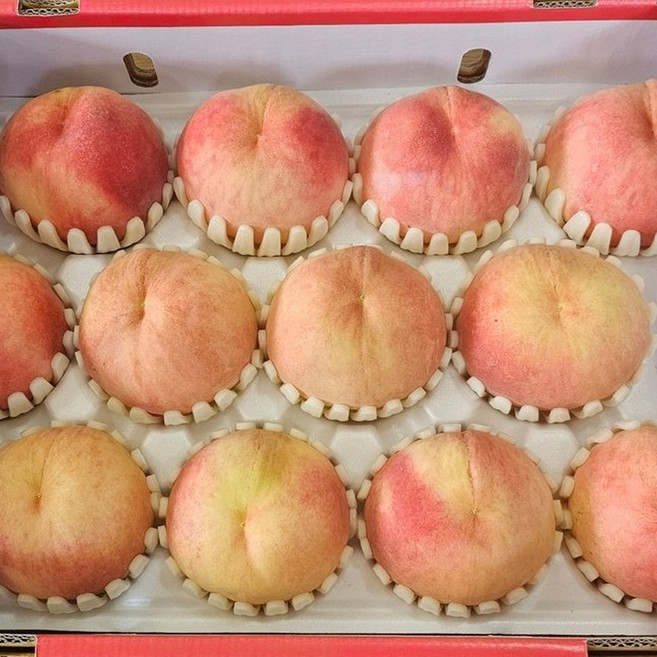 [제니네 제철과일] 산지직송 제스프리 골드키위 뉴질랜드, 1개, 중과 30과