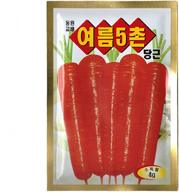 동원 여름5촌 당근 씨앗 4g, 1개