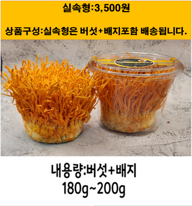 더드림농원 동충하초 생버섯만 (알뜰형) 동충하초 출시 [원산지:국산(경기도 고양시 일산서구)], 버섯+배지 180g~200g, 1개, 180g