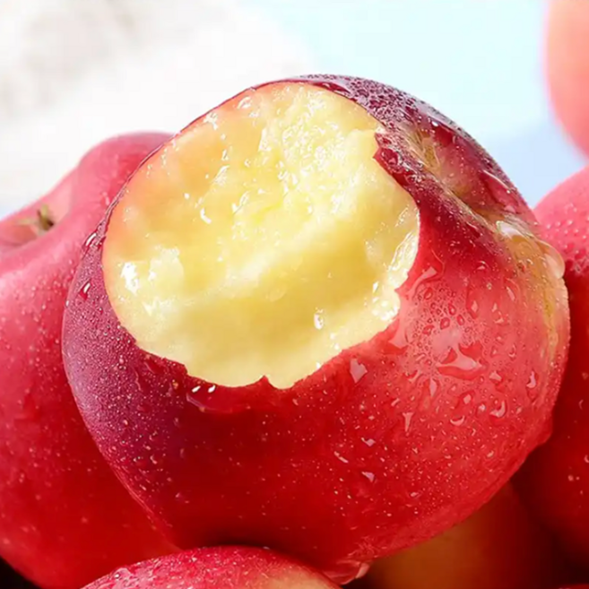 [타임특가]구매폭주 꿀즙가득 대박과육 못난이 부사사과, 1박스, 5kg