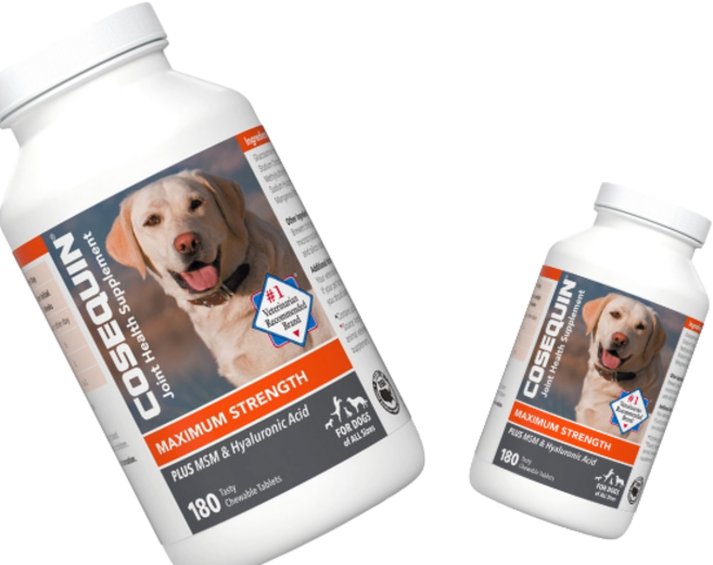 뉴트라맥스 코세퀸 조인트 헬스 서플리먼트 180정, 뼈/관절강화, 360개