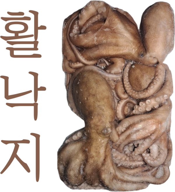 냉동 활낙지 1팩 850g 업소용 3미 4미, 4미 1팩 850g, 1개