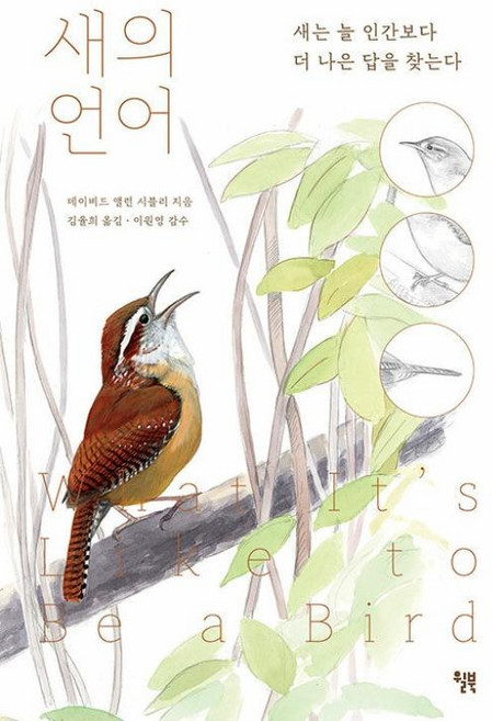새의 언어 : 새는 늘 인간보다 더 나은 답을 찾는다, 윌북, 데이비드 앨런 시블리