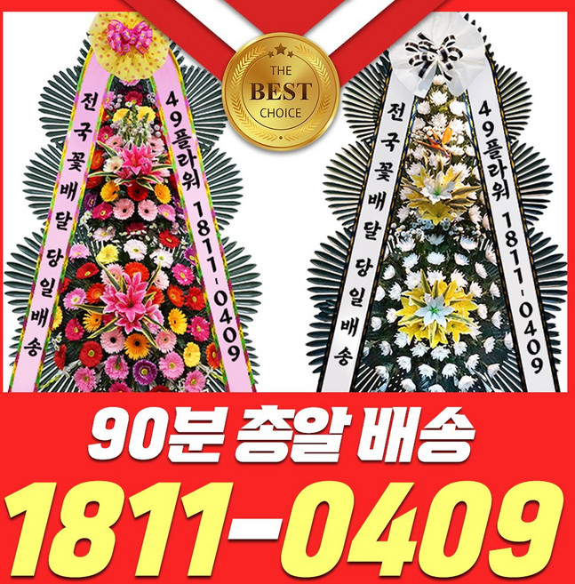 49플라워 ) 결혼 축하화환 근조화환 개업화분배달 장례식 장례 돈꽃다발 생일꽃바구니 당일전국꽃배달서비스, 추가 없음