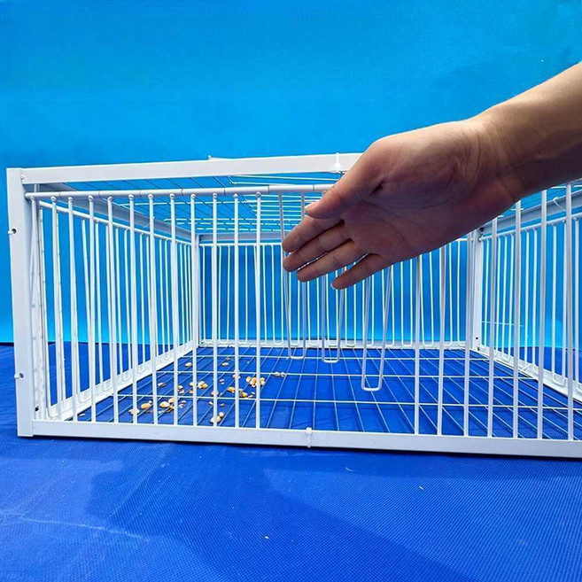 비둘기 포획기 틀 철망 울타리 케이지 트랩, 1개, 화이트U형암호화40x40x26(4면천창O)