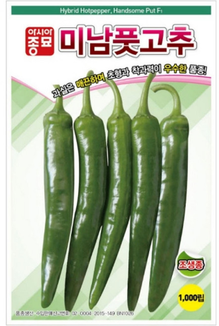 A-미남풋고추 1000립 채소 종자, 1개