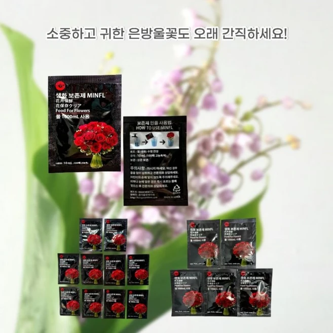 솔라르 민플 생화 보존제 수명연장제, 5개, 10ml - 쿠팡