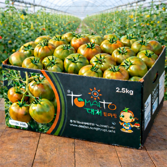 [농장직송] 농협인증 부산 정품 대저토마토, 1박스, 2.5kg (L)