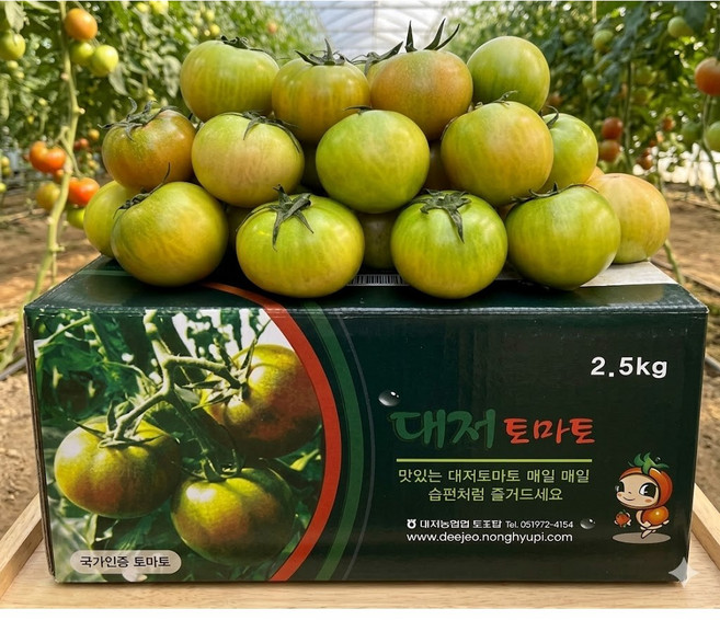 [한정특가] 초고당도 대저토마토 짭짤이 정품, 1박스, 2.5kg (L)