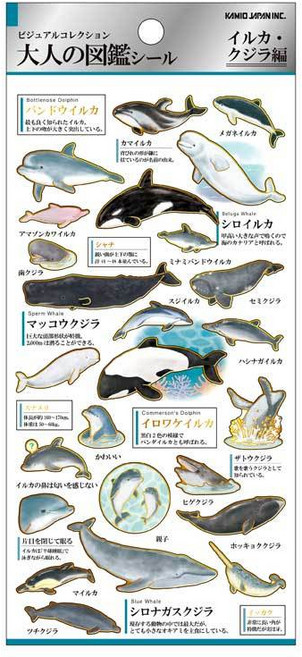 莫莫日貨日本製 大人的圖鑑系列 燙金 手帳裝飾 拍立得貼紙 - 鯨魚．海豚篇, 1個