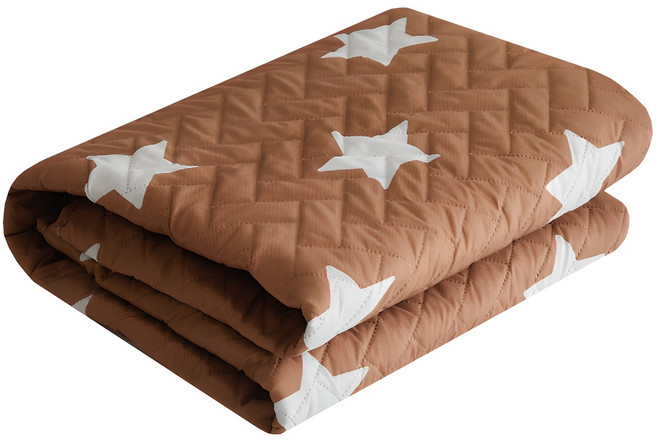 한일의료기 브라운 앤 화이트스타 고급전기요 HL-20 + 전용 보관가방, 브라운앤화이트스타, 스몰 (67.5 x 180 cm)