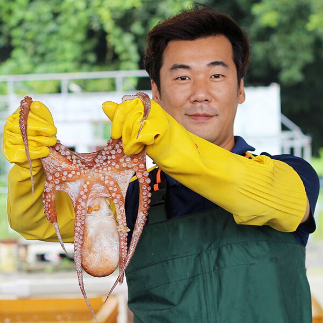 [숨비해물] 거제도 자연산 생물 돌문어 1kg, 1개