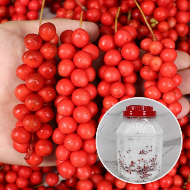 충북 제천 월악산 오미자청 10kg, 1개