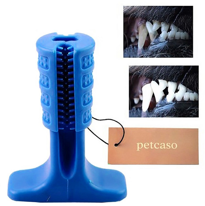 펫카소 강아지 치석제거 이갈이 노즈워크 칫솔 치발기 셀프양치 장난감, 1개, 블루