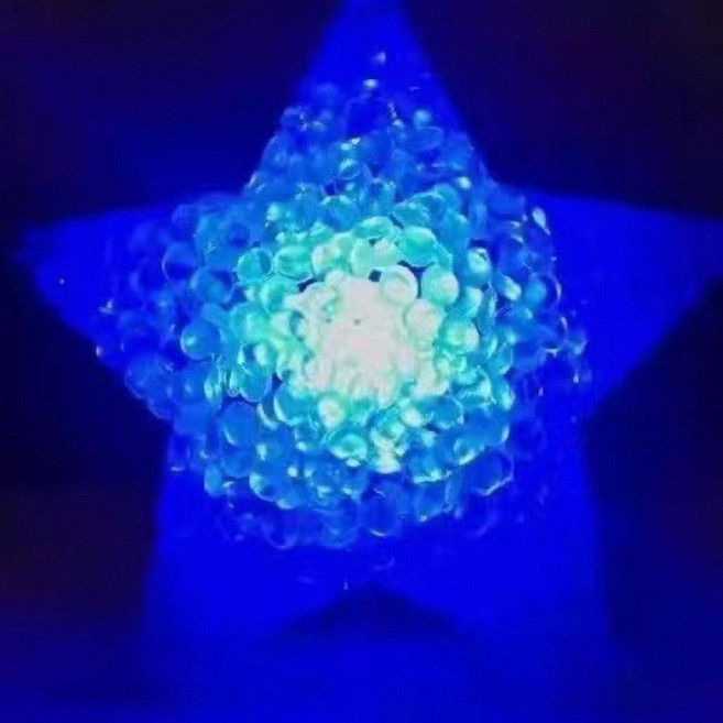 手腕星星燈 手持發光五角星 閃光手環 舞蹈表演道具 發光五角星燈, 藍星*藍燈 （8厘米手戴款）, 1個