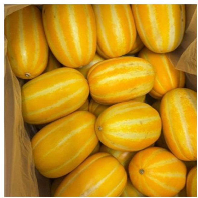 [파격세일] 꿀당도 산지직송 성주 참외, 1박스, 3kg