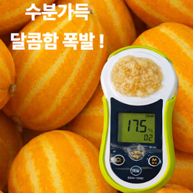 성주 GAP 저탄소 우수관리인증 꿀당도 참외 2kg 3kg, 1박스, 가정용(중과)2kg(6-10입내외)