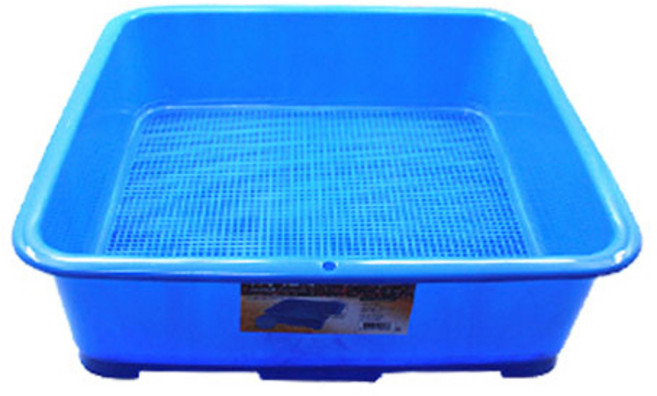 사각 묵채 우무가사리채 팥채 사각채 장보고주방