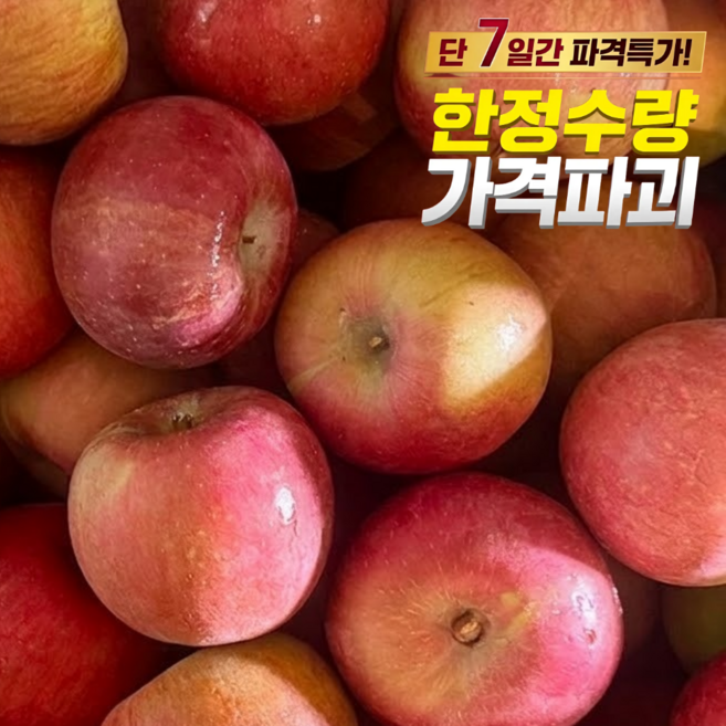 [재구매1위] 고당도 청송사과 국내산 부사 사과, 1박스, 10kg