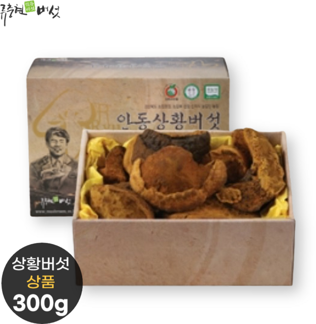 국내산 상황버섯 선물세트 상품 300g 국산 상황 버섯 선물 추석 설날 설 명절, 1개