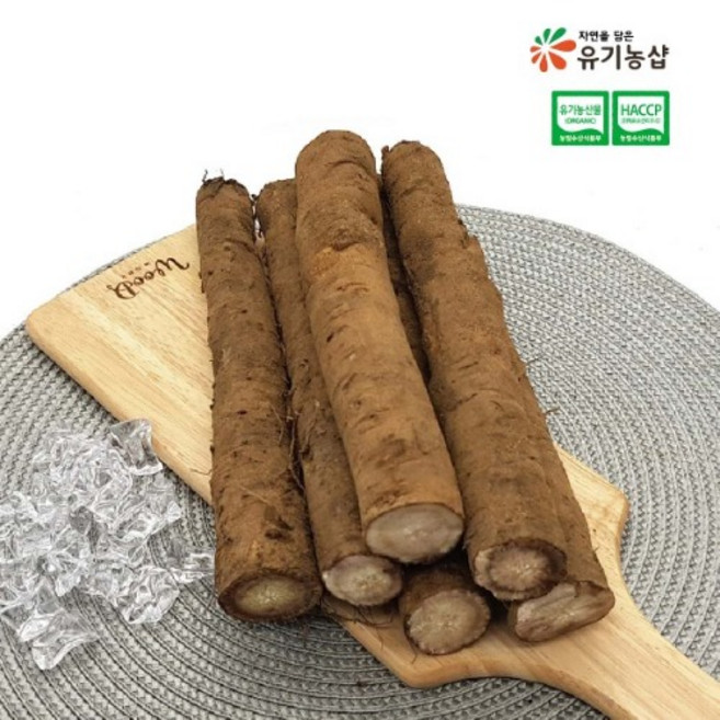 국내산 유기농 우엉 500g (건강즙 증정)