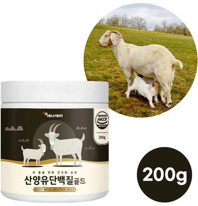 산양유단백질 산양 완두단백 분리 농축 유청 단백질 프로틴 초유 락토페린 분말 가루 쉐이크 네덜란드 자연방목 식물성 동물성 완전 bcaa, 1개