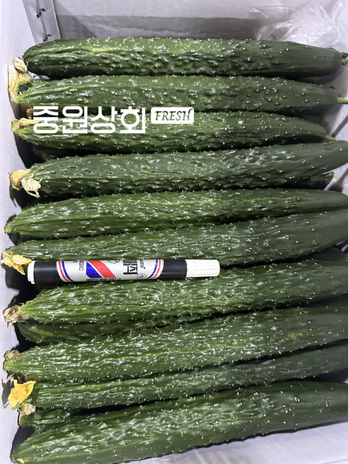 가시오이 특 상 가정용 업소용 못난이 당일경매, 1박스, 10kg