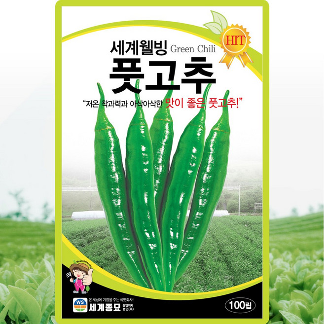 세계종묘 웰빙 풋고추 씨앗 100립, 1개