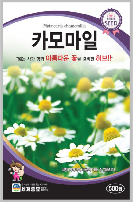카모마일 500립 / 허브 씨앗 종자 꽃밭만들기 화단만들기, 1개