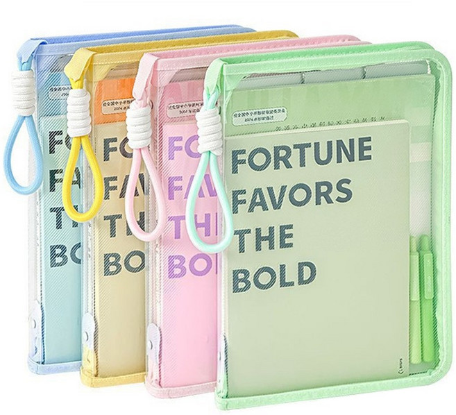 토리모 감성 파스텔 A4 투명 메쉬 지퍼 파일 파우치 4가지컬러 다꾸 스티커 보관함 학원 가방 시험지파일북, 1개, 피치 핑크