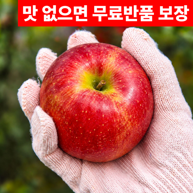 [한정특가] 고당도 문경 감홍사과 산지직송, 1박스, 정품)_2kg