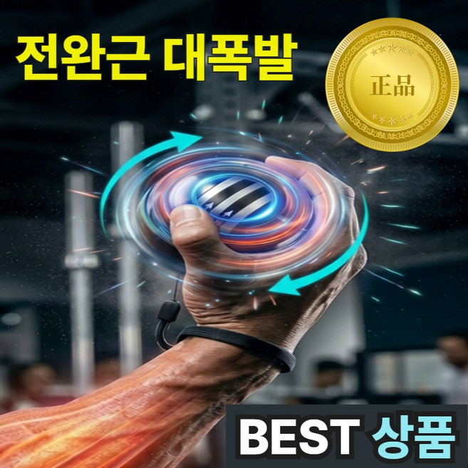 위드밸류 9세대 자이로볼 전완근 악력 손목 스트레칭 운동기구 홈트 파워볼, 1개, 딥 메탈 실버
