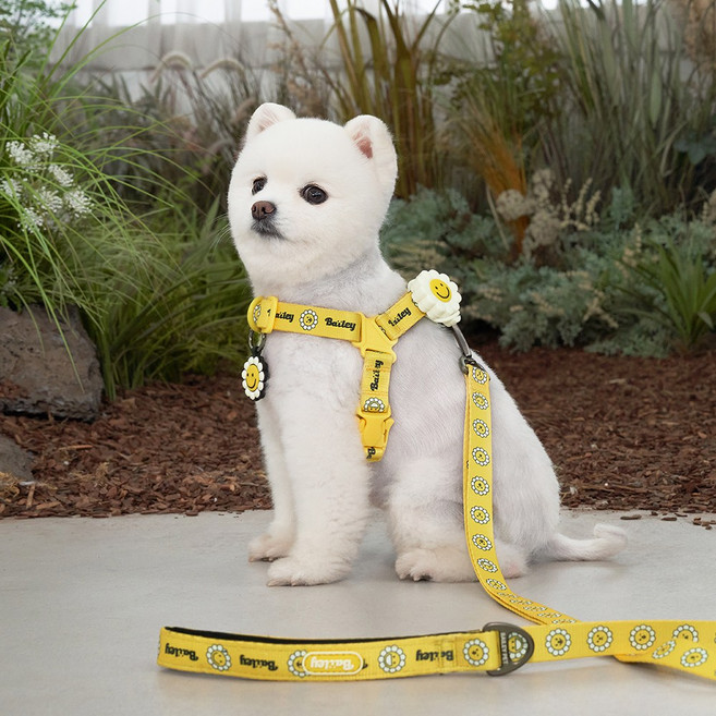 베일리펫 데이지 워키 하네스 강아지 앞섬방지 산책용 경량 가슴줄, 옐로우