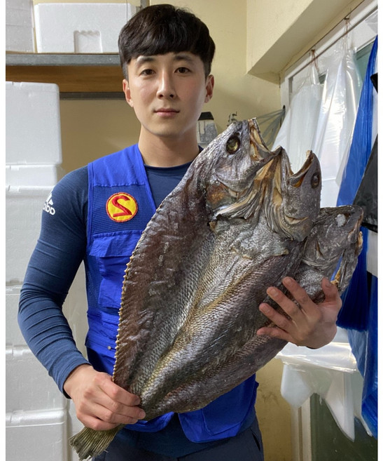 신안 임자도 반건조 민어 (55cm / 65cm이상 2마리~3마리) 무료배송!, 55cm이상(생물기준2kg) x 2마리, 1개