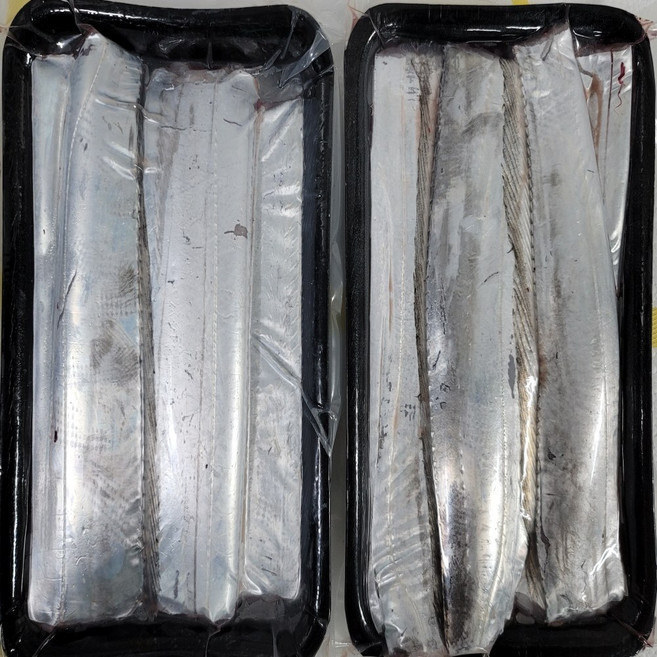 아빠가 잡은 국내산 손질 은 갈치 마리 500g 염질발송, 1개, 갈치500g