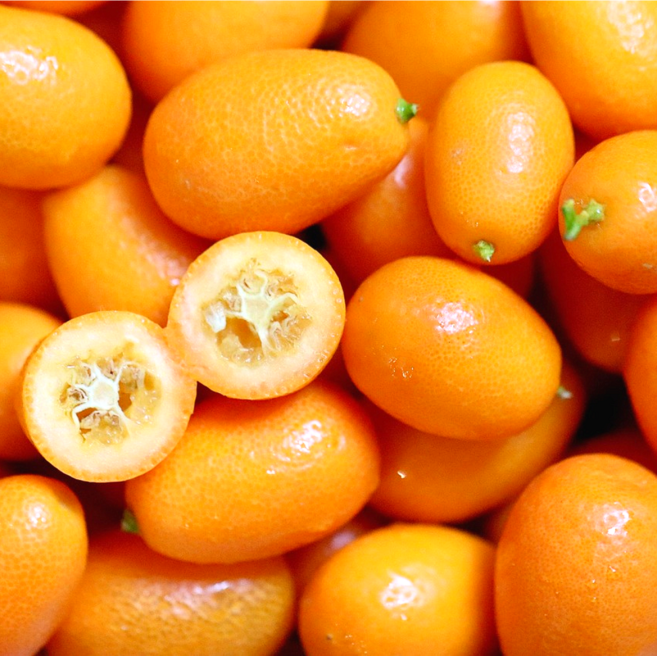 [오늘한정특가] 초고당도 금귤 낑깡 (특대과), 1박스, 1kg