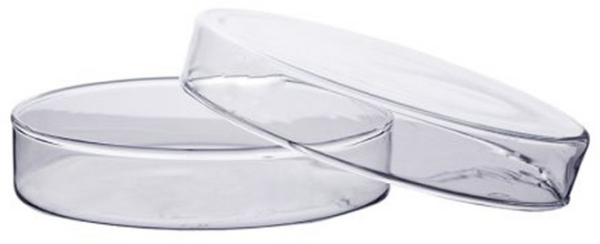 60mm 유리 페트리디쉬 (샬레) 배양접시