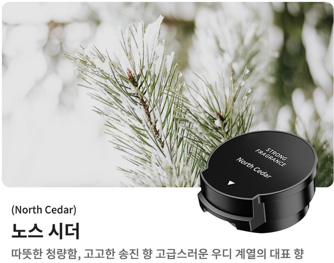 Gaayou 스마트 차량 디퓨저 리필 오일 병, 노스 시더, 1개