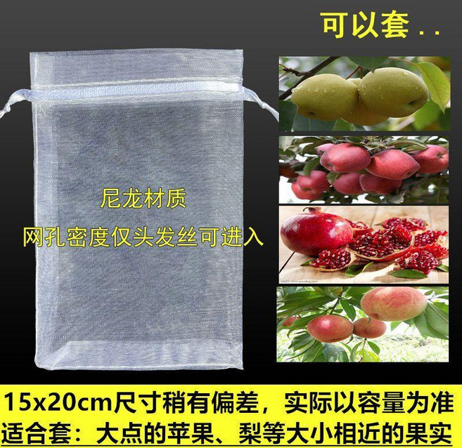 水果防蟲防鳥網袋 透氣套袋 草莓 番茄 藍莓保護袋, 1個, 15x20白色10個