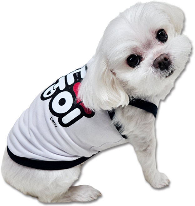 도기코디 강아지 막둥이 나시, 화이트, 1개