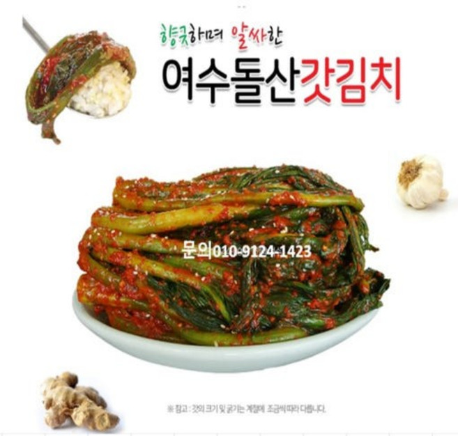 여수 돌산 꼬들빼기 1kg / 5kg 밥도둑김치 전통수제 숙성 꼬들빼기 [원산지:국산(전라남도 여수시)], 1개