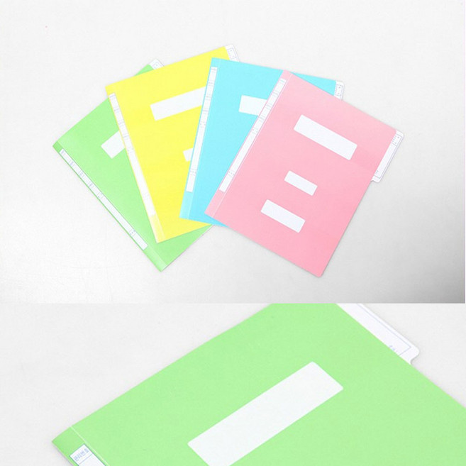 대영바인텍 PP재질 정부화일 A4 (10매입), 1개, 분홍