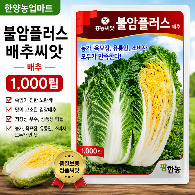 불암플러스 1000립 배추씨앗 가을 김장 배추, 1개