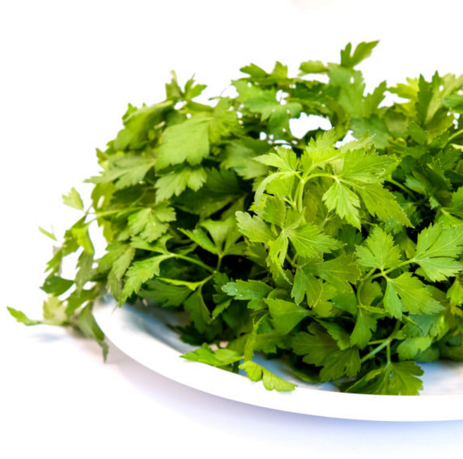 약200g) 국내산 生 이탈리안 파슬리 ITALYAN PARSLEY, 1개