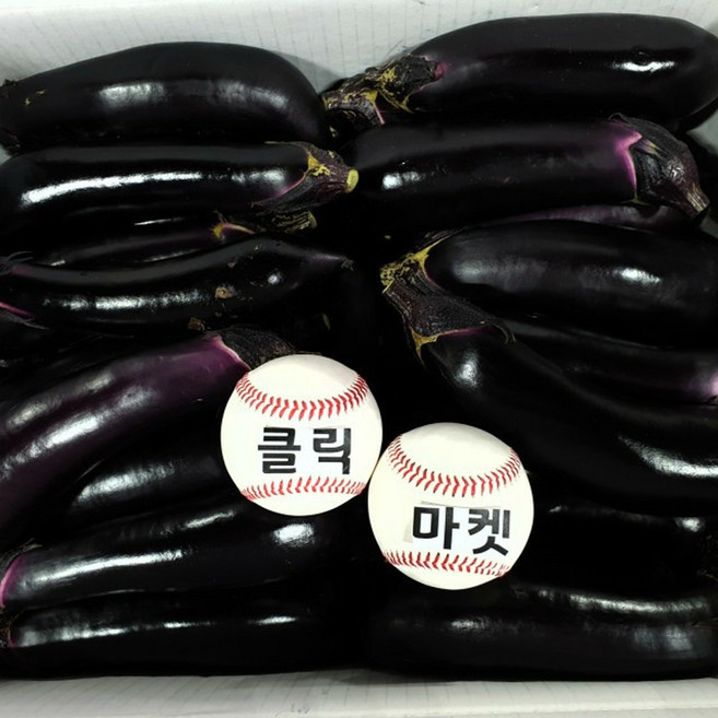 클릭마켓 국내산 햇 가지 1kg, 1개